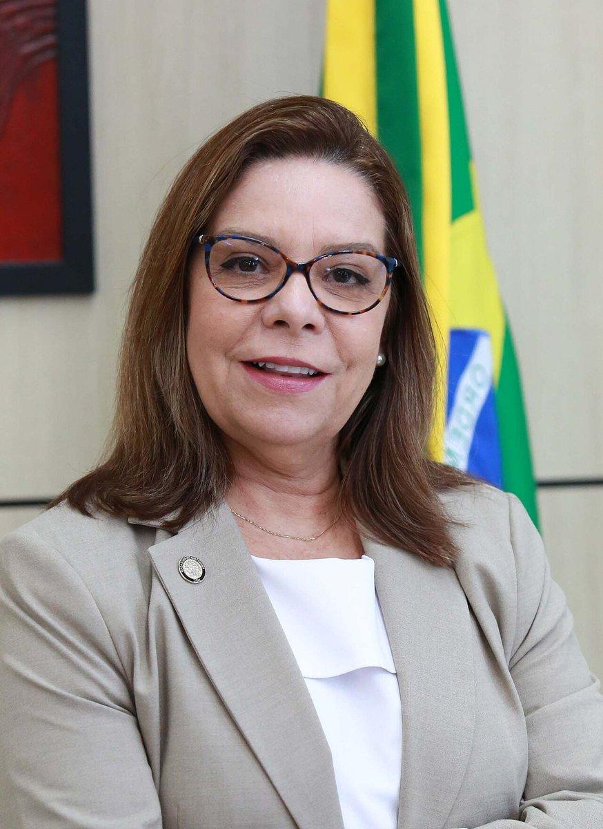 Denise Pires de Carvalho in an official portrait from 2023, when she was Brazil's secretary for higher education.