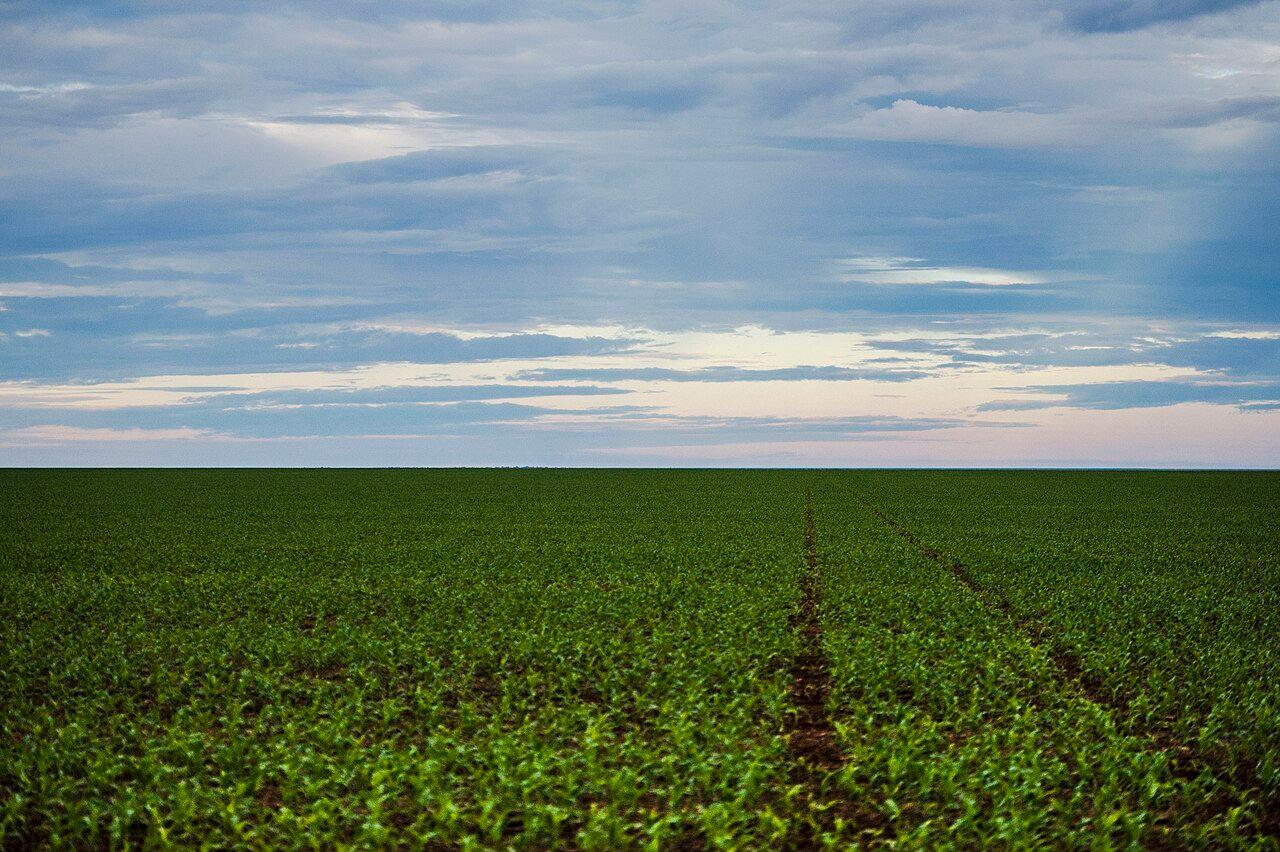 Área de plantação de soja em Brasnorte, no noroeste de Mato Grosso, em 2016.