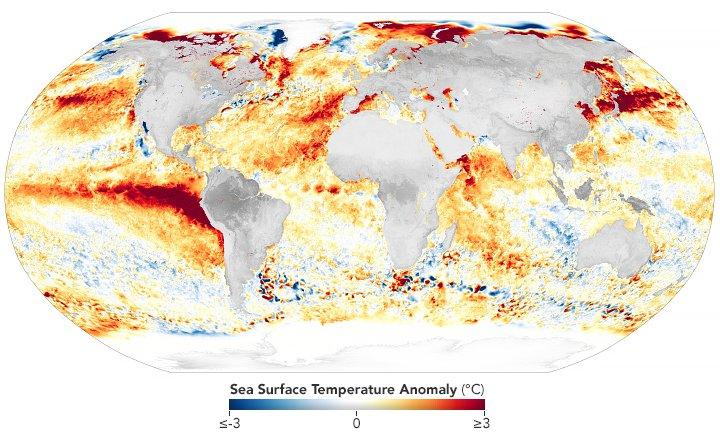 Mapa de anomalías de la temperatura de la superficie del mar el 21 de agosto de 2023: la franja cálida en el Pacífico ecuatorial central y oriental es la firma de un El Niño en formación.