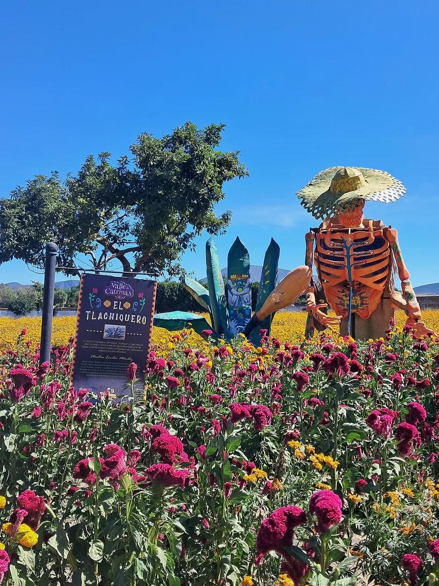 La calavera monumental "El Tlachiquero", en el Valle de las Catrinas de Atlixco, Puebla, en noviembre de 2025.