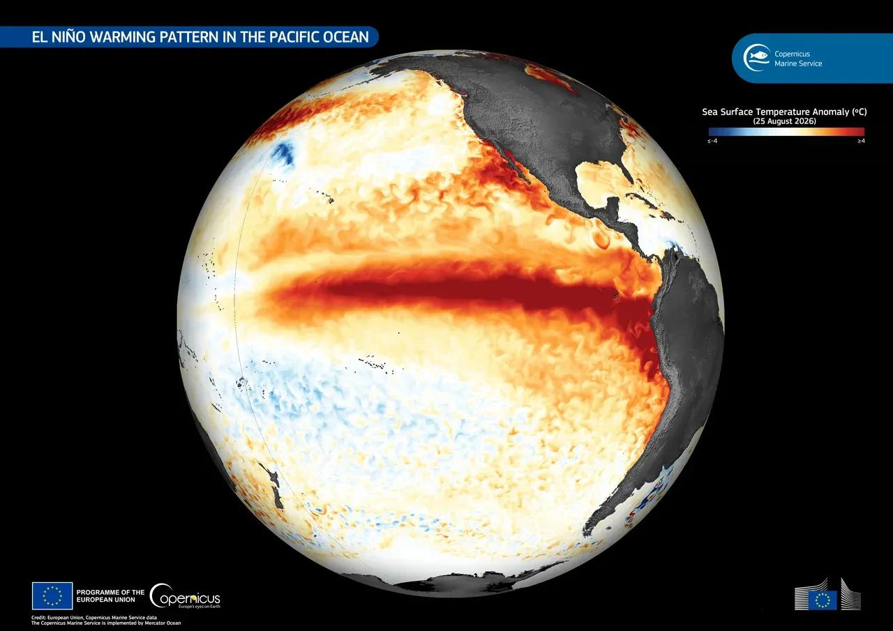 A Copernicus Marine Service visualization of sea surface temperature anomalies on August 25, 2026, with the band of warmer water in red stretching along the central and eastern equatorial Pacific.