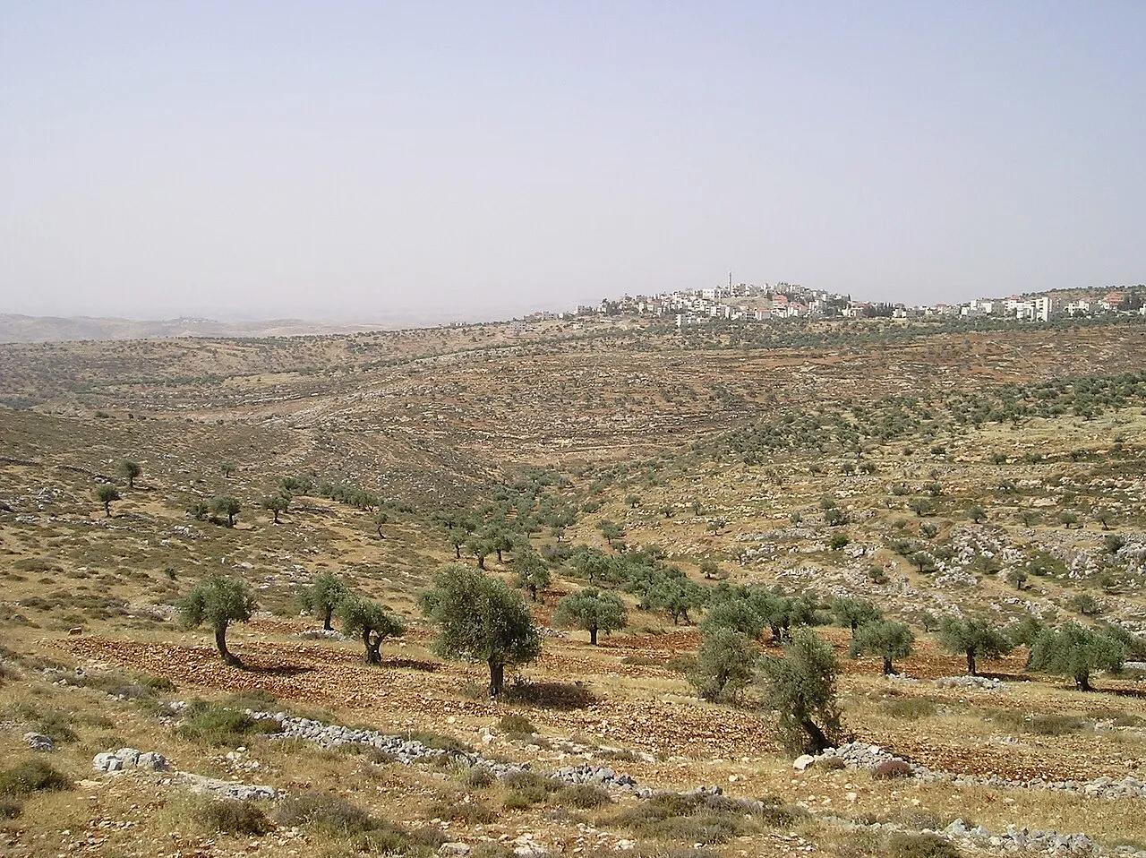 The Palestinian village of Taybeh, in the West Bank, northeast of Jerusalem, in a 2005 photograph.