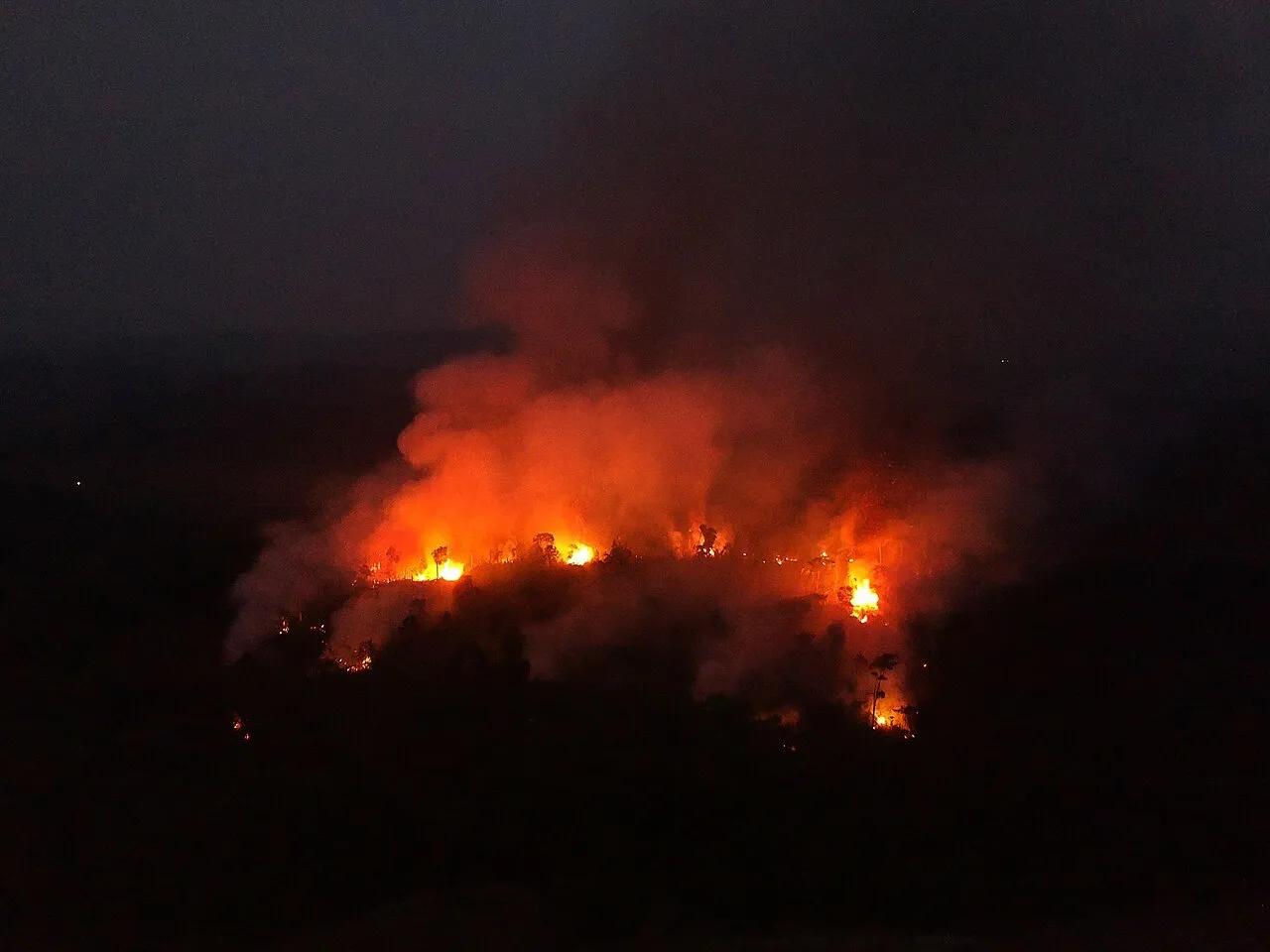 Área de floresta derrubada e queimada no município de Apuí, no Amazonas, em foto de agosto de 2020.