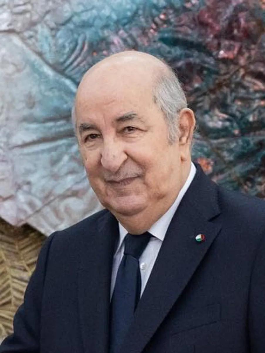 Algeria's president, Abdelmadjid Tebboune, at an official meeting in Slovenia in May 2024.